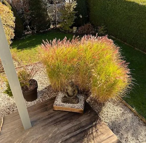 Alpsoul Eine Mit Charisma….